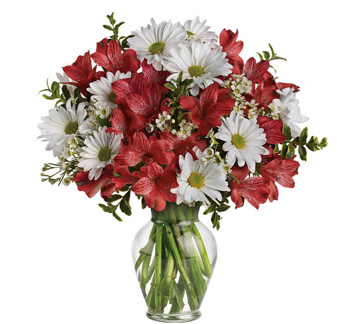 Teleflora's Dancing in Daisies Bouquet