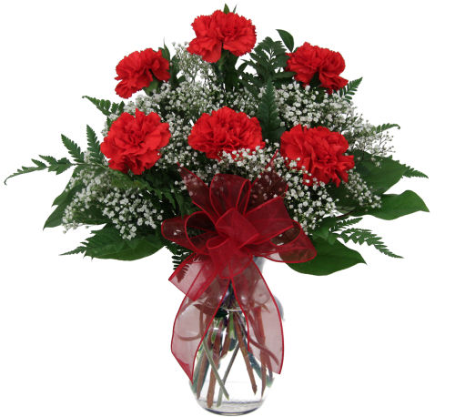 Six Red Carnations #CR2AA • Canada Flowers