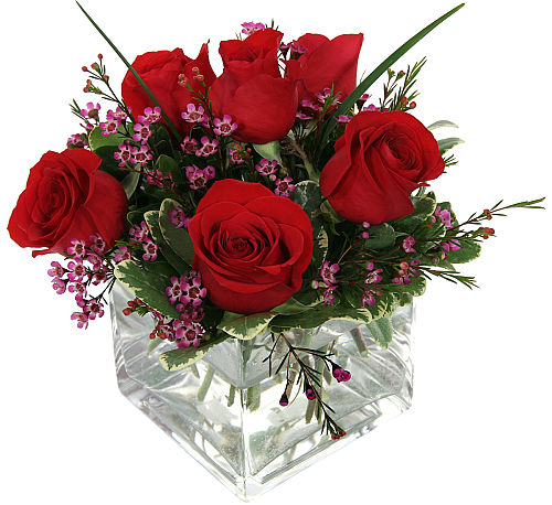 Modern Red Roses