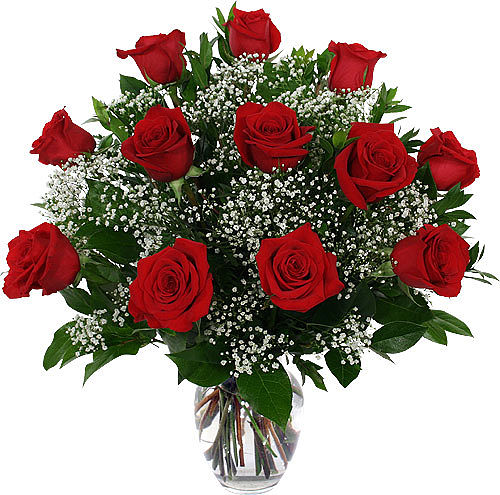 Two Dozen red Roses* – buy online or call 01709 829204