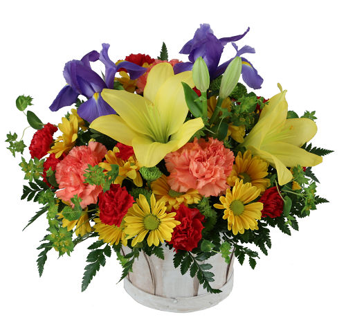 Birthday Flowers · Celebrate Flower Basket #BD11AA · Canada Flowers