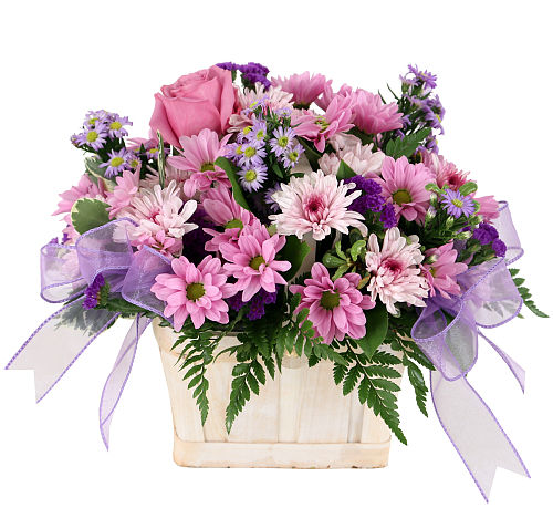 Pretty Pastel's #BU109AA • Canada Flowers