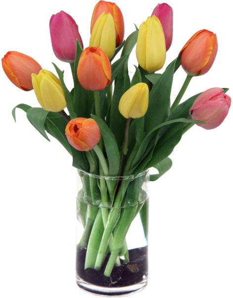 Fresh Day Tulip Bouquet