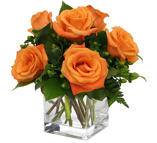 Orange Burst Roses