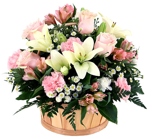 Pretty Pink Basket #MD144AA • Canada Flowers