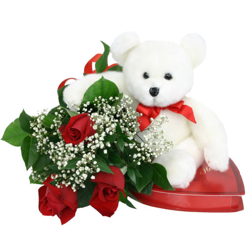 Valentines 2024 bloom bear