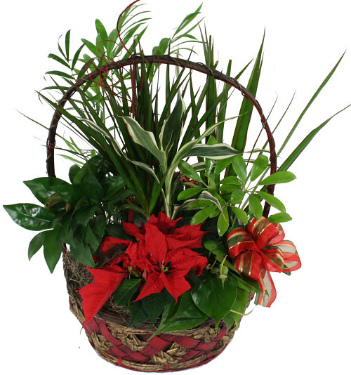 Christmas Festive Basket