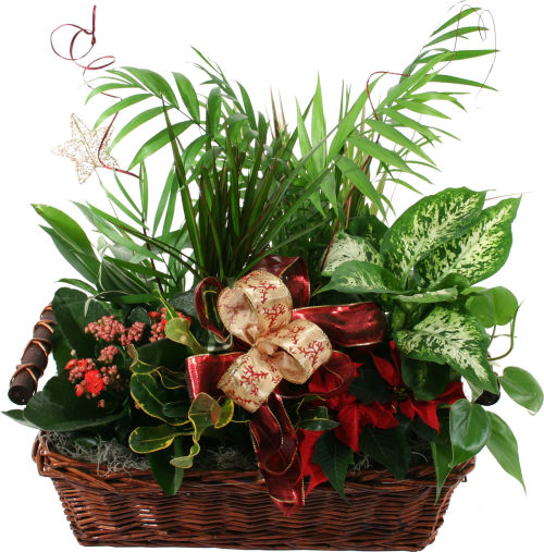 Holiday Planter Basket