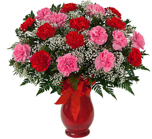 Valentine's Carnations