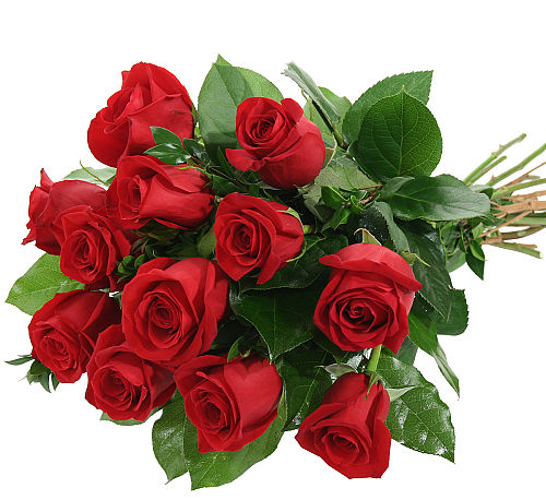 Red Rose Bouquet #FRA12AA • Canada Flowers