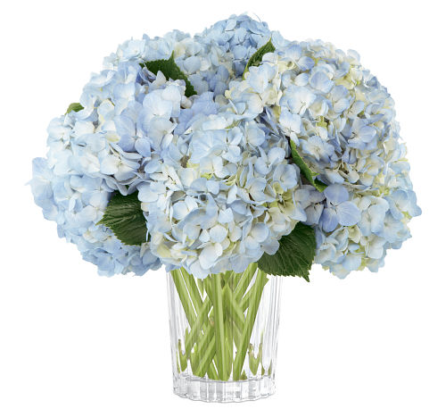 FTD® Joyful Inspirations Bouquet #AN23FA • Canada Flowers