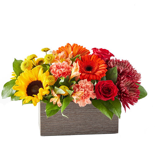 FTD Autumn Orchard Bouquet