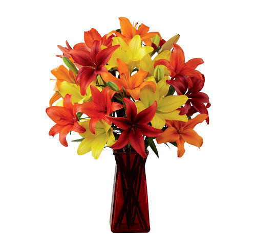 FTD® Happy Thoughts Bouquet