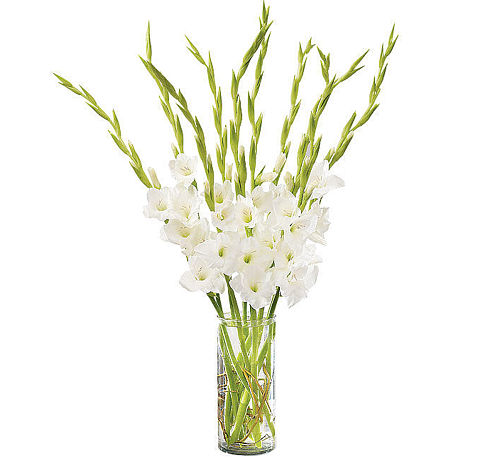 FTD® At Peace Bouquet