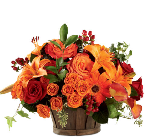 FTD® Nature's Bounty Basket #GW9FA • Canada Flowers