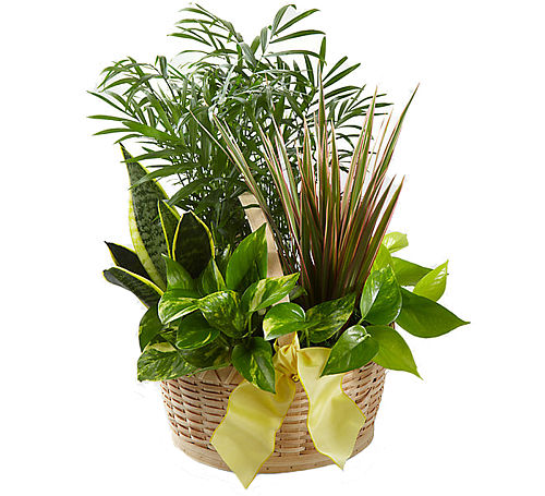 FTD® French Garden Basket