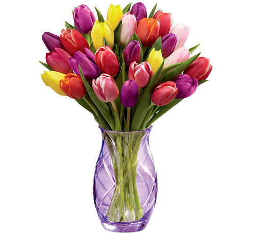 FTD® Spring Tulip Bouquet #MD7FA • Canada Flowers