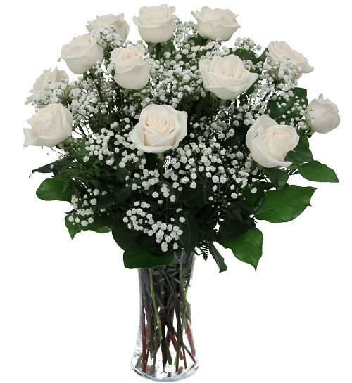 12 White Roses