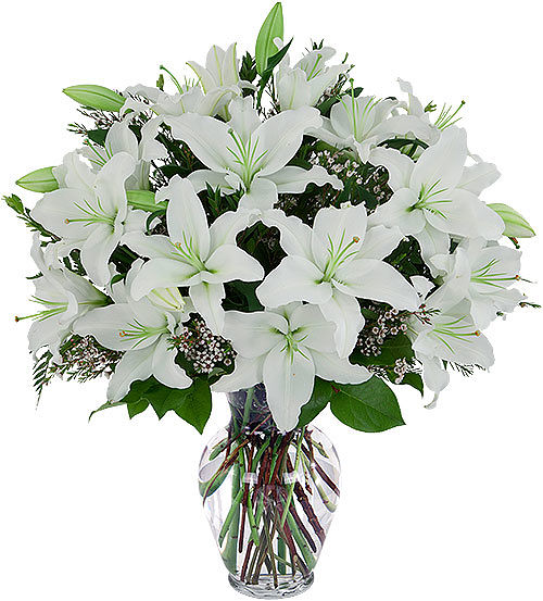 White Lily Tribute #FN1AA • Canada Flowers