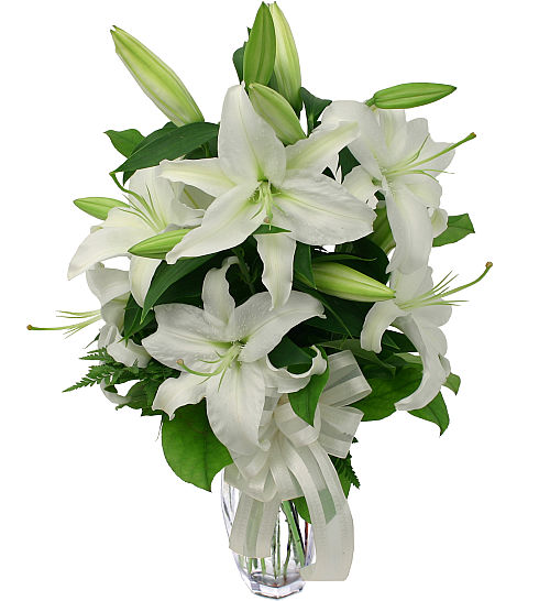 Casablanca Lilies #FB20AA • Canada Flowers
