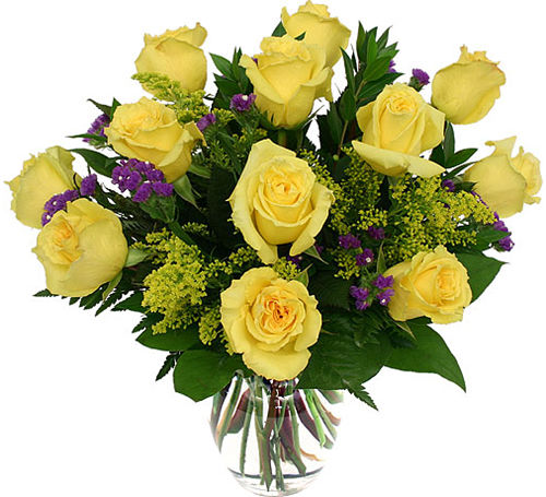 12 Yellow Roses