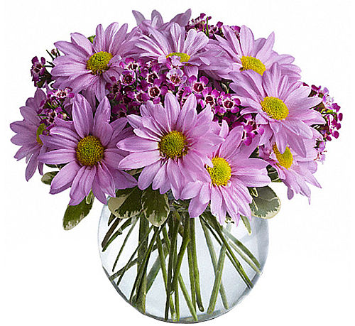 Teleflora's Delightfully Daisy Bouquet