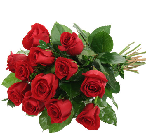 Red Rose Bouquet