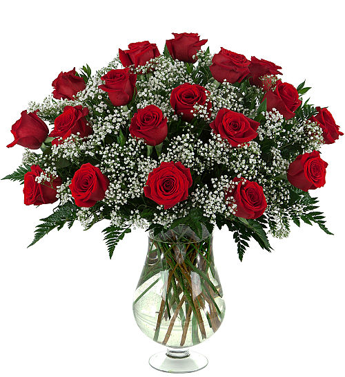 18 Red Roses