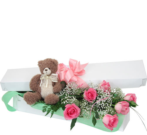 Pink Roses with Bear