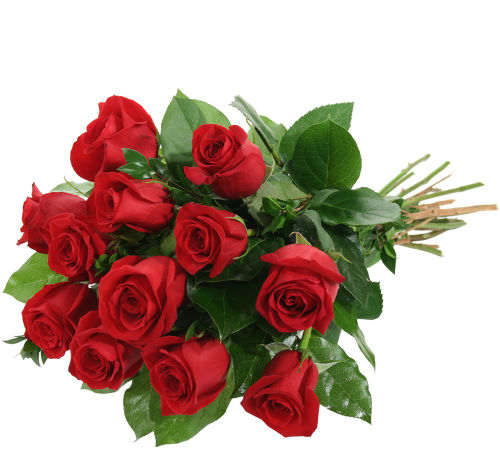 Red Roses Bouquet