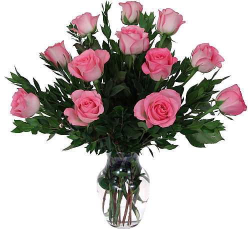 12 Pink Roses