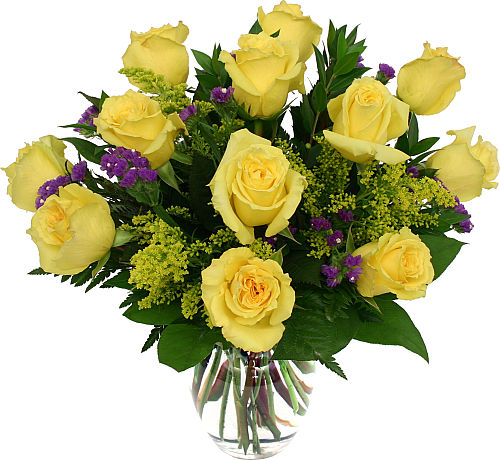 12-yellow-roses-ro3aa-canada-flowers