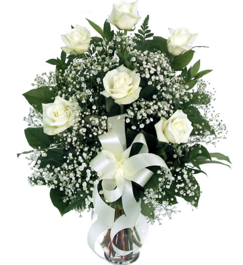 6 White Roses