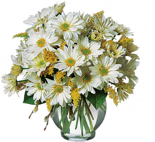 Teleflora's Daisy Cheer Bouquet