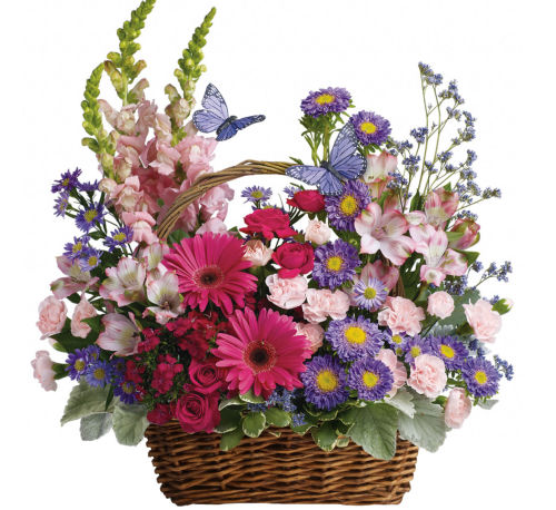 Teleflora Birthday Flowers · (T48-3B) #BD7TA · Canada Flowers.ca