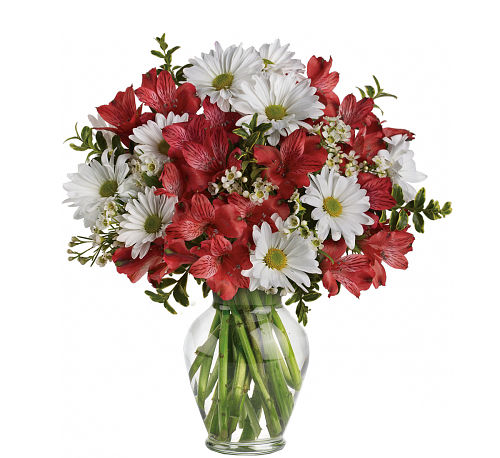 Teleflora's Dancing in Daisies Bouquet