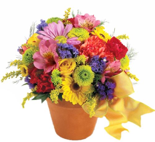 Teleflora's Fresh Blossom Potpourri Bouquet