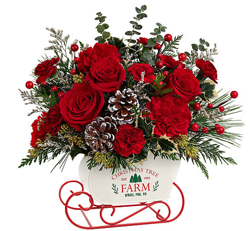 Teleflora's Snow What Fun Bouquet