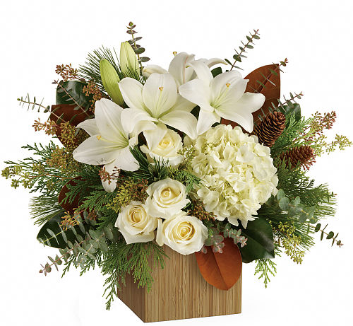 Teleflora's Cozy Christmas #CH23TA • Canada Flowers