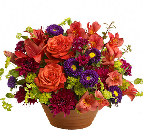 Teleflora Autumn Celebration