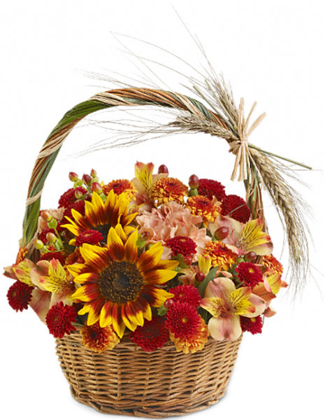 Teleflora's Harvest Basket