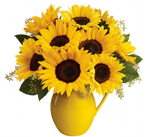 Teleflora's Sunny Day Pitcher of Sunflowers