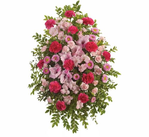 Teleflora's Pink Tribute Spray