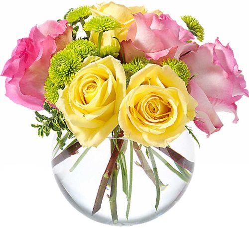 Teleflora's Pink Lemonade Roses #SU2TA • Canada Flowers