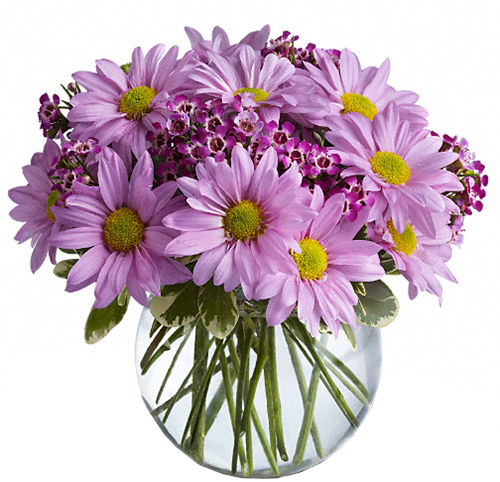 Teleflora's Delightfully Daisy Bouquet