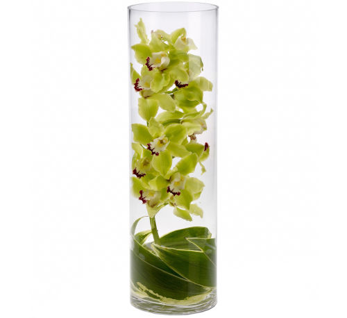 Teleflora's Zensational Cymbidium Orchids