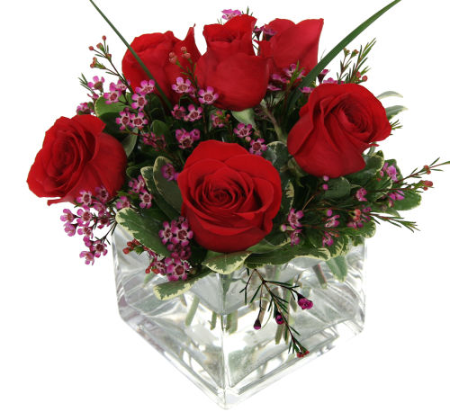 Modern Red Roses