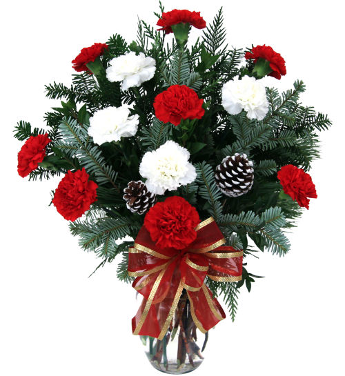 Festive Carnations