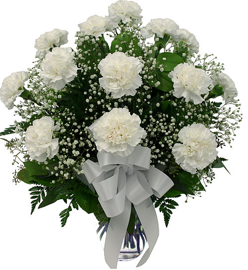 12 White Carnations